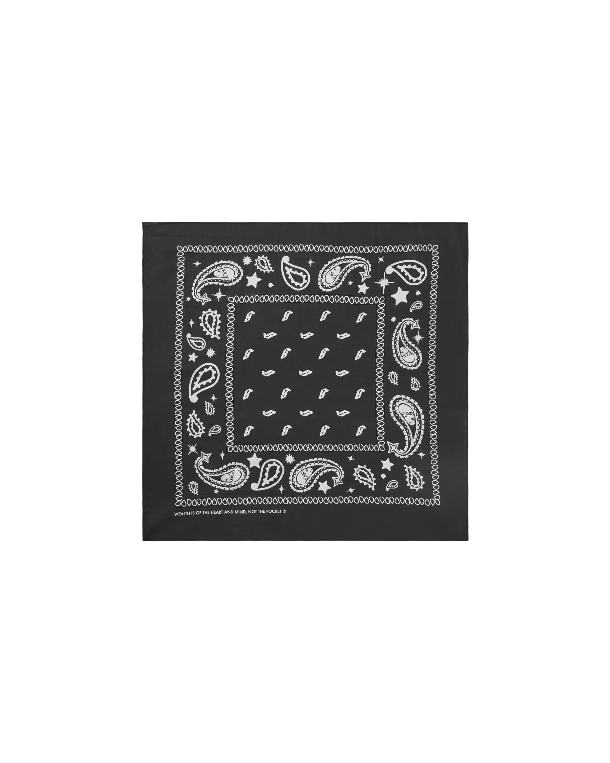 Flying B Paisley Bandana - Macdery